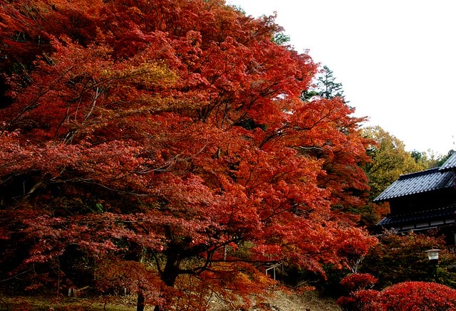 20251103-ti9fd 20251103-ti9fd