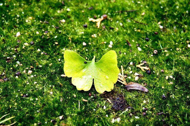 20251103-u089q 20251103-u089q