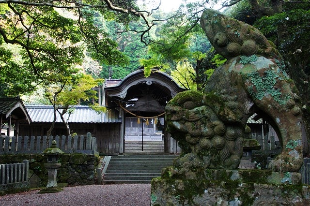 20251103-wcbgz 20251103-wcbgz