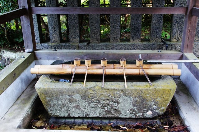 20251103-wfmsm 20251103-wfmsm