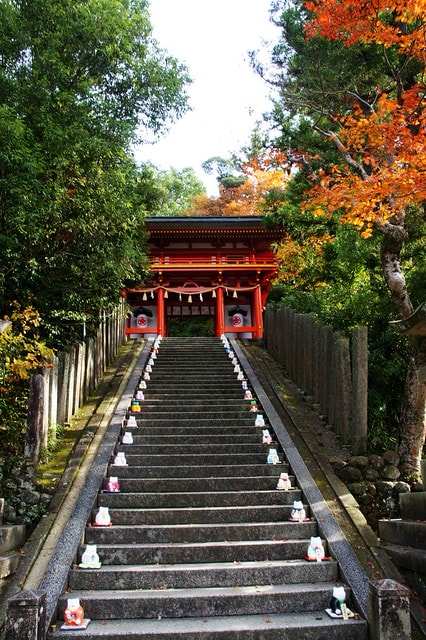 20251103-x3gqb 20251103-x3gqb