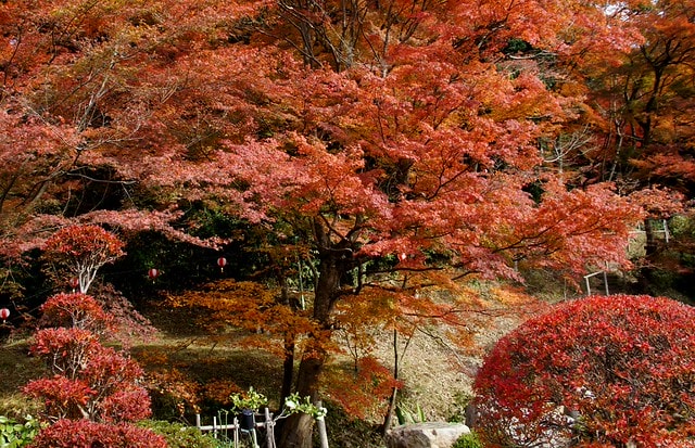 20251103-xamtv 20251103-xamtv