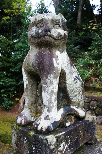 20251103-z6p7e 20251103-z6p7e