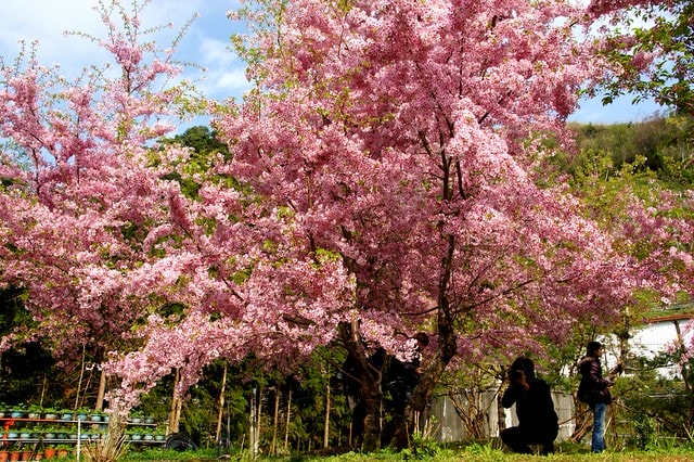 20251103-07l75 20251103-07l75