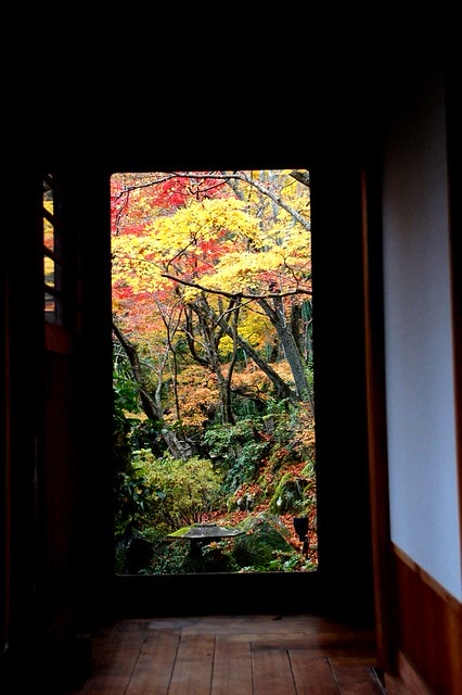 20251103-07ypc 20251103-07ypc