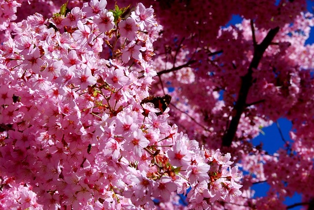 20251103-0d4rc 20251103-0d4rc