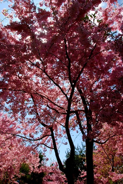 20251103-0jzg1 20251103-0jzg1