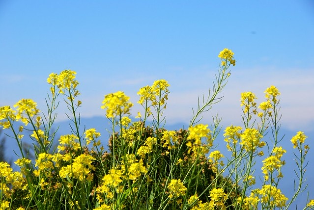 20251103-0subk 20251103-0subk