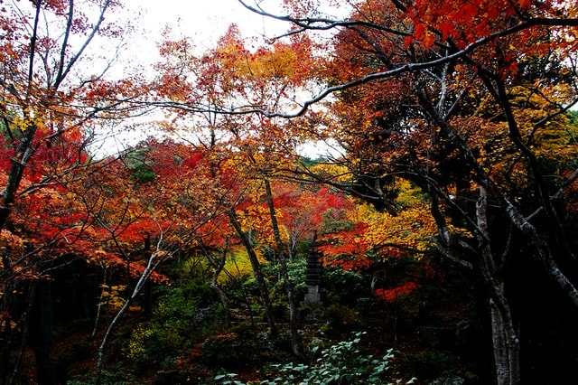 20251103-171hc 20251103-171hc