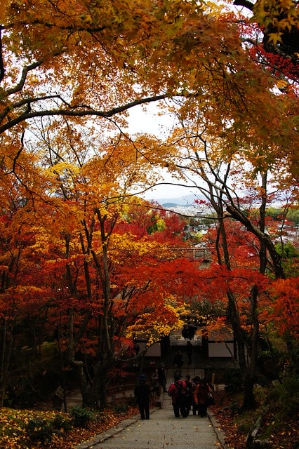 20251103-2kynq 20251103-2kynq