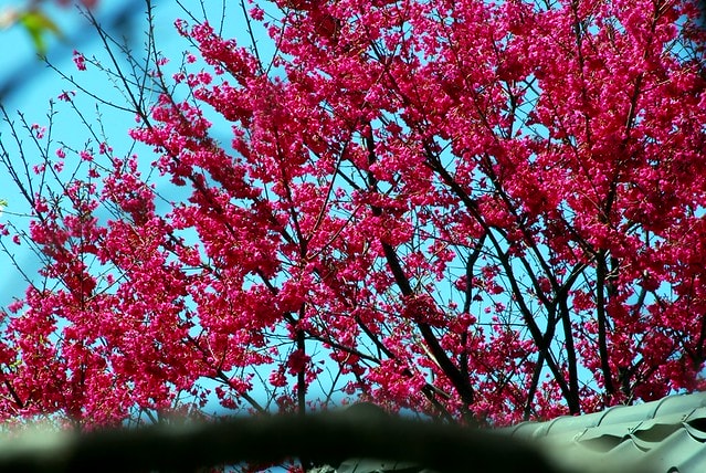 20251103-2owpo 20251103-2owpo