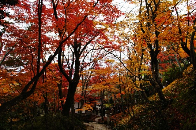 20251103-39due 20251103-39due