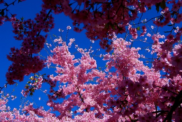 20251103-3zybd 20251103-3zybd