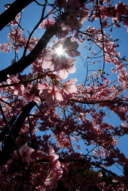 20251103-56lnw 20251103-56lnw