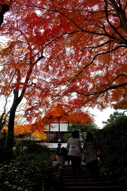 20251103-5q1r3 20251103-5q1r3