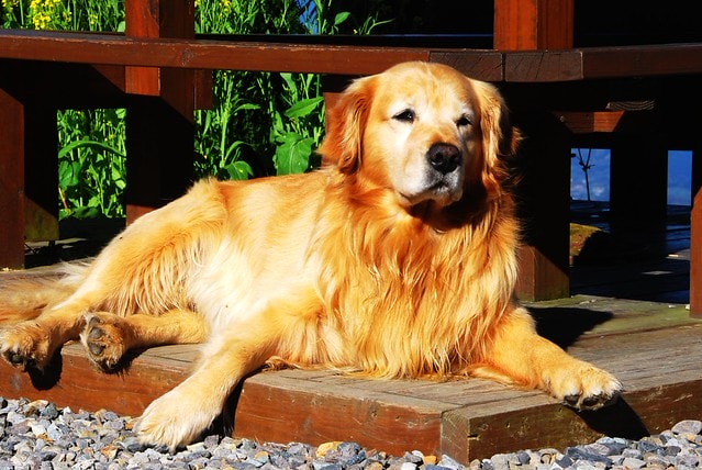 20251103-6czvw 20251103-6czvw