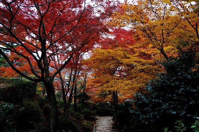 20251103-6it93 20251103-6it93