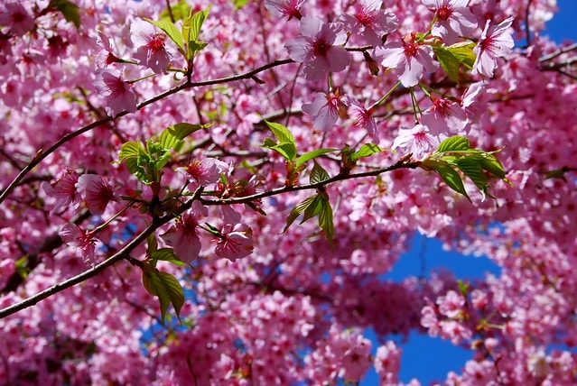 20251103-75dt7 20251103-75dt7