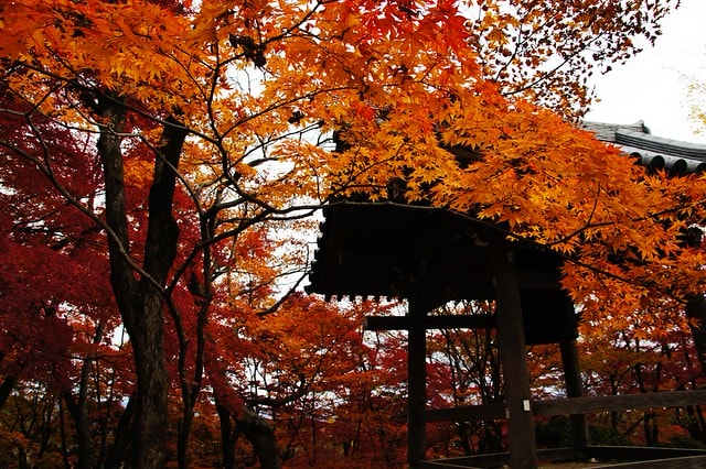 20251103-77rk9 20251103-77rk9