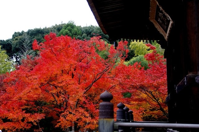 20251103-7ezdv 20251103-7ezdv