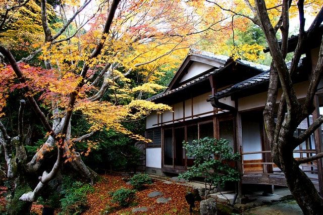 20251103-7lb7m 20251103-7lb7m