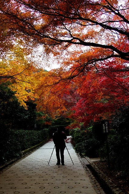 20251103-82jmi 20251103-82jmi