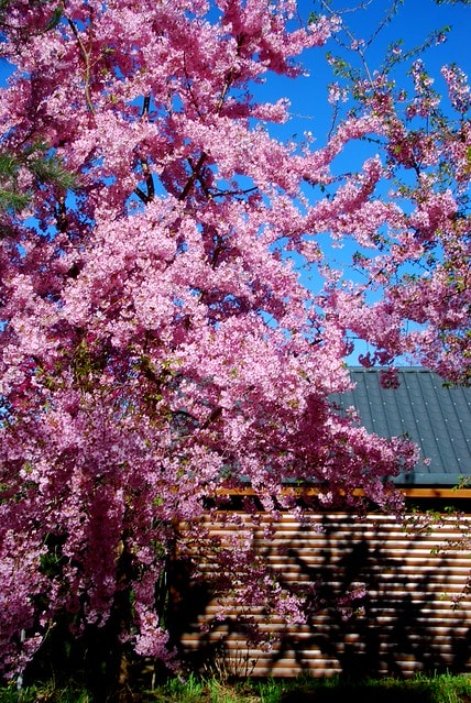 20251103-8er1h 20251103-8er1h