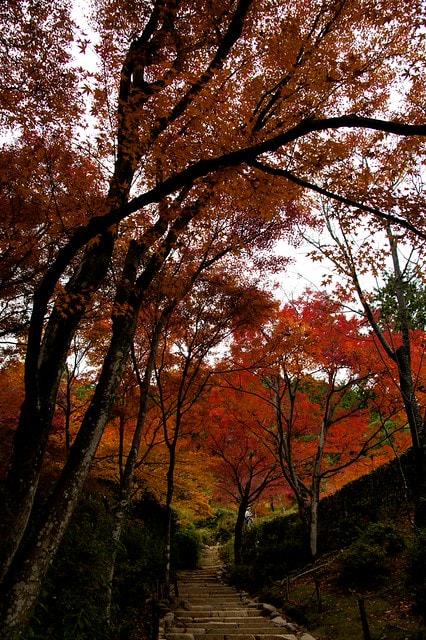 20251103-8pmb9 20251103-8pmb9