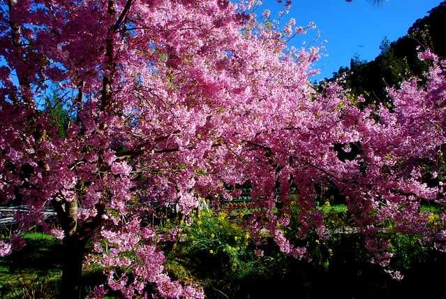 20251103-8w6gx 20251103-8w6gx