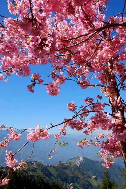 20251103-94k29 20251103-94k29