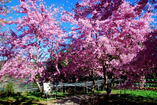 20251103-aybel 20251103-aybel