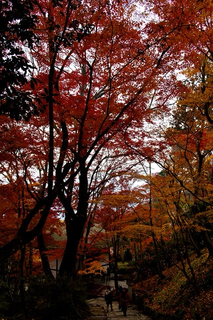 20251103-djw0m 20251103-djw0m