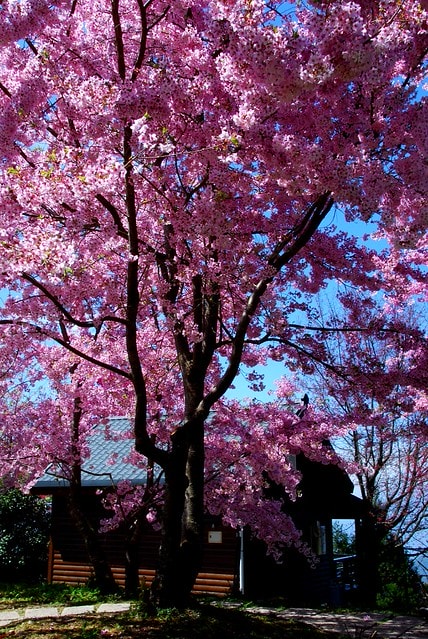 20251103-dwu59 20251103-dwu59