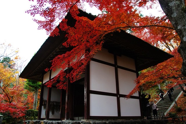 20251103-e42bk 20251103-e42bk