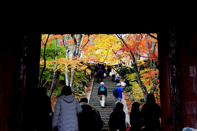 20251103-er1a2 20251103-er1a2