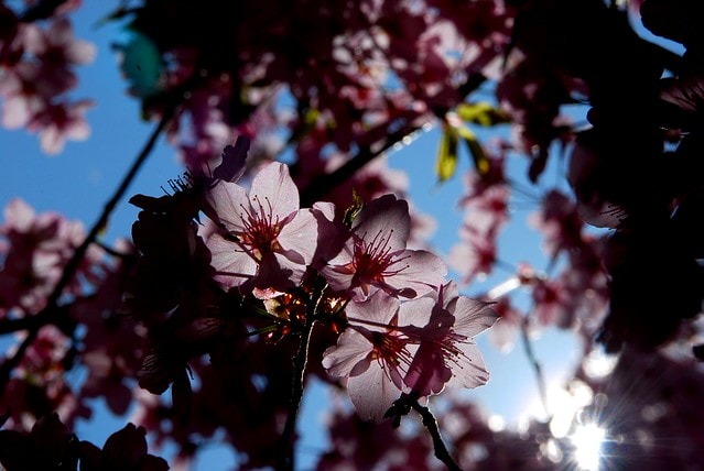 20251103-ev3xd 20251103-ev3xd