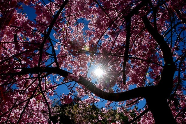 20251103-fgnqe 20251103-fgnqe