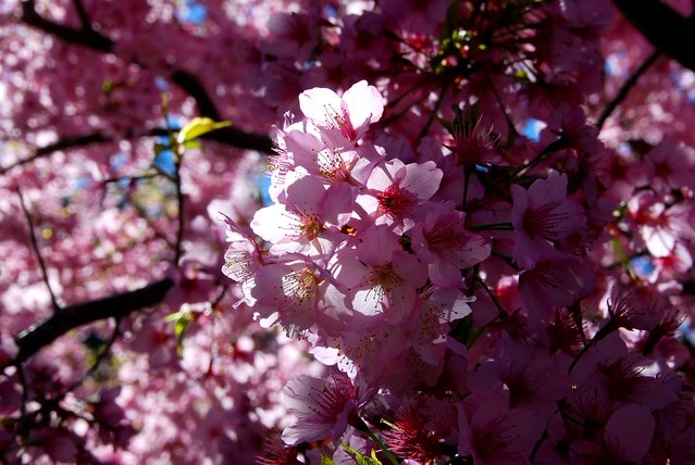 20251103-gbp3b 20251103-gbp3b