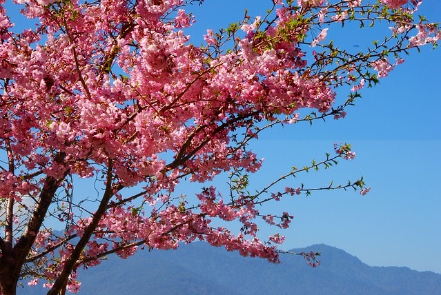 20251103-gij51 20251103-gij51