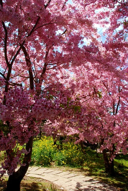 20251103-hc5e0 20251103-hc5e0