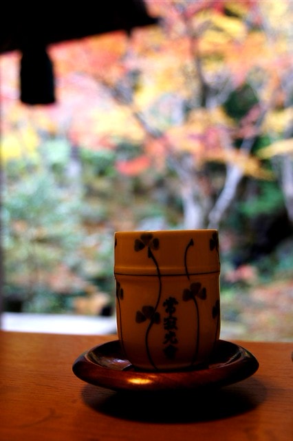 20251103-iq3jt 20251103-iq3jt