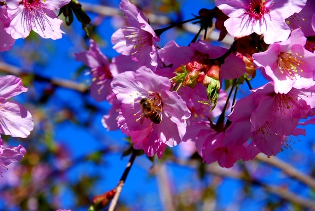 20251103-iscux 20251103-iscux