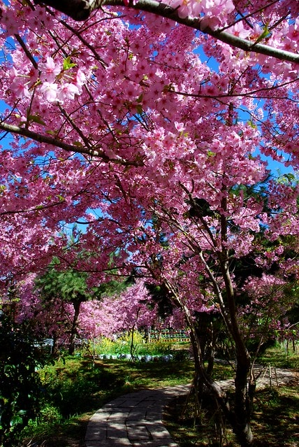 20251103-jiofy 20251103-jiofy