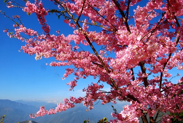 20251103-jku4w 20251103-jku4w