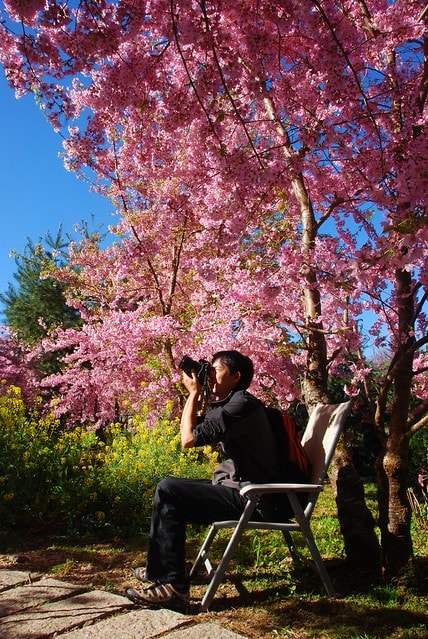 20251103-lvsau 20251103-lvsau