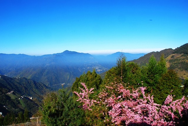 20251103-mv0fe 20251103-mv0fe