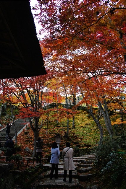 20251103-njkil 20251103-njkil