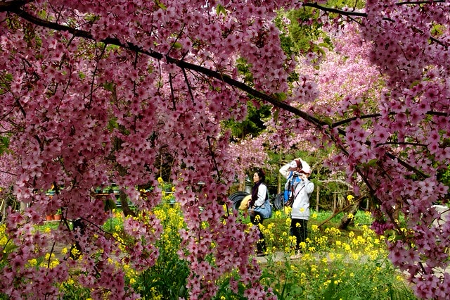 20251103-nlrhq 20251103-nlrhq