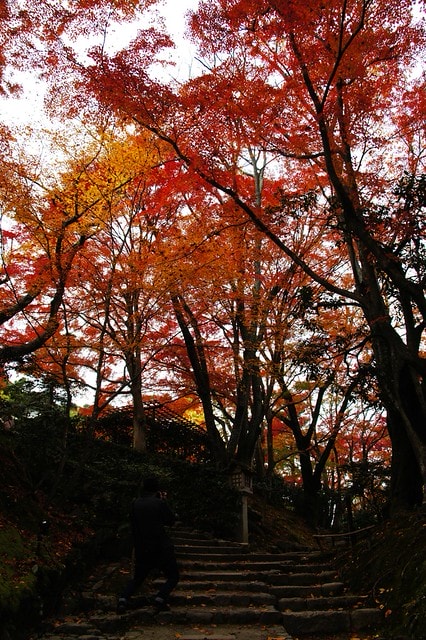 20251103-ohxxj 20251103-ohxxj