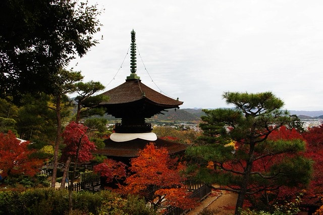 20251103-pb0wd 20251103-pb0wd